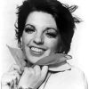 Black And White Liza Minnelli Diamond Paintings