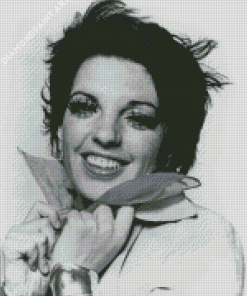 Black And White Liza Minnelli Diamond Paintings