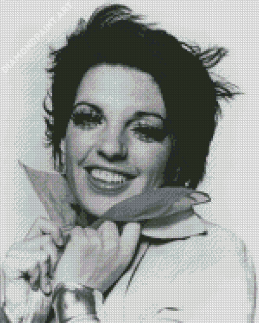 Black And White Liza Minnelli Diamond Paintings