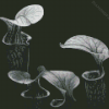 Black And White Pitcher Plant Diamond Painting