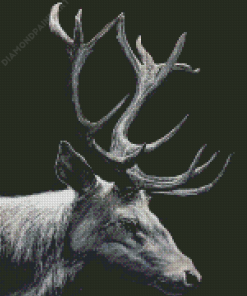 black And White Stag Art Diamond Painting