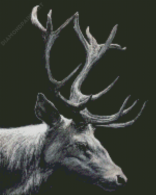 black And White Stag Art Diamond Painting