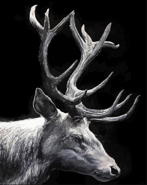 black And White Stag Art Diamond Painting