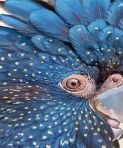 Black Cockatoo Close Up Diamond Painting