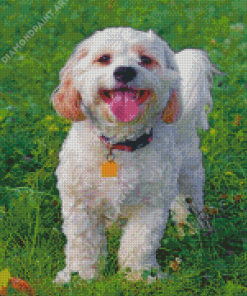 Cavachon Dog Diamond Painting