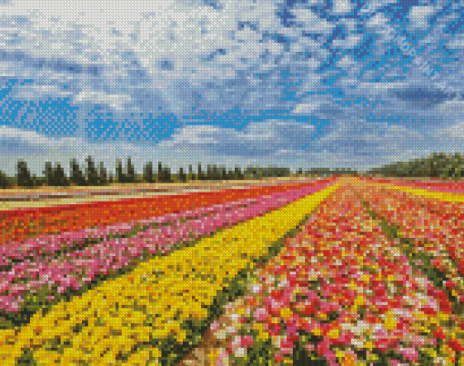 Colorful Buttercup Fields Diamond Painting