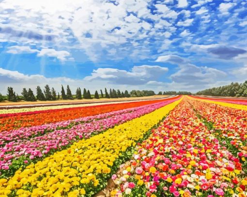 Colorful Buttercup Fields Diamond Painting