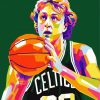 Colorful Larry Bird Diamond Paintings