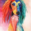 Colorful Saluki Art Diamond Paintings