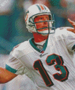 Cool Dan Marino Diamond Paintings