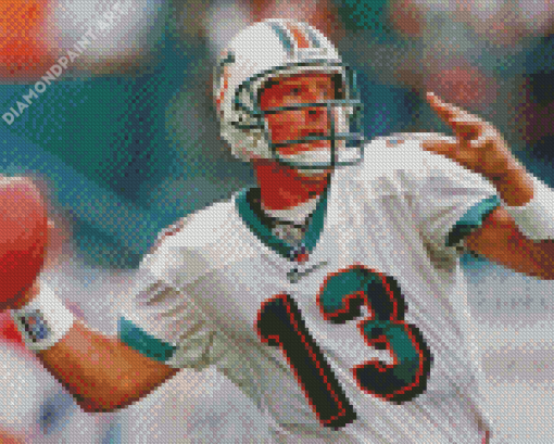 Cool Dan Marino Diamond Paintings