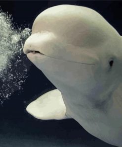 Cute Beluga Diamond Painting