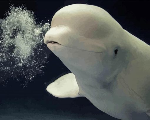 Cute Beluga Diamond Painting