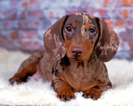 Cute Dapple Dachshund Diamond Painting