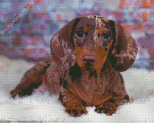 Cute Dapple Dachshund Diamond Painting