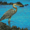 Cute Grey Heron Diamond Painting