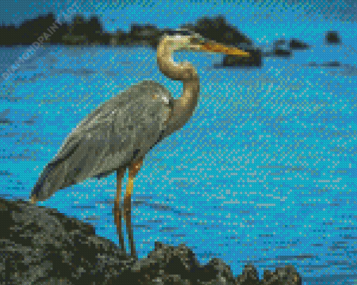 Cute Grey Heron Diamond Painting