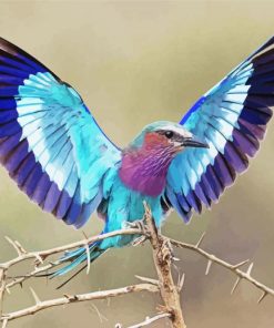 Cute Roller Bird Diamond Paintings