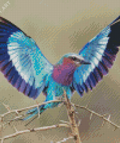 Cute Roller Bird Diamond Paintings