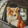 Cute Dog And Car Diamond Paintings