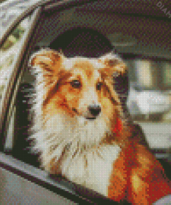 Cute Dog And Car Diamond Paintings