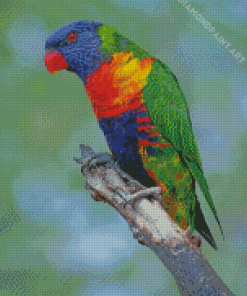 Cute Lory Bird Diamond Painting