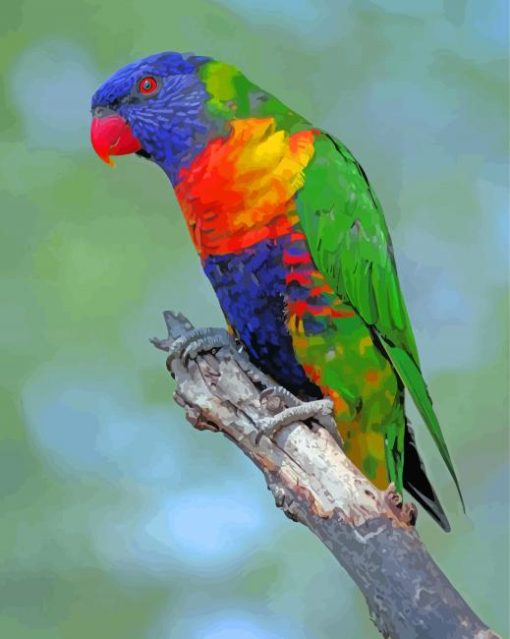 Cute Lory Bird Diamond Painting