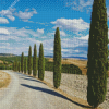 Cypress Trees Road Diamond Paintings