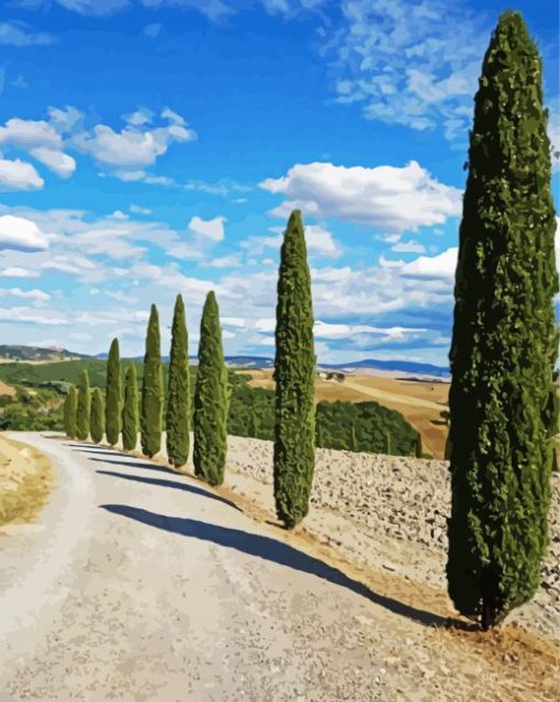 Cypress Trees Road Diamond Paintings