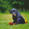 Doberman Pinscher Puppy Diamond Painting