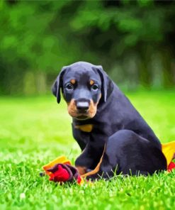 Doberman Pinscher Puppy Diamond Painting