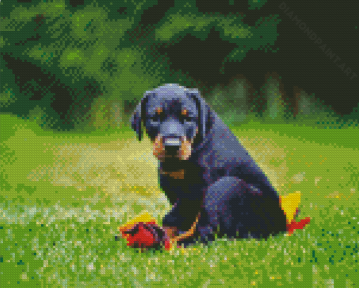 Doberman Pinscher Puppy Diamond Painting