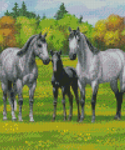 Farm Ranch And Horses Diamond Paintings