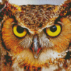 Fierce Owl Diamond Paintings