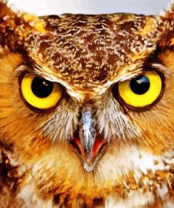 Fierce Owl Diamond Paintings