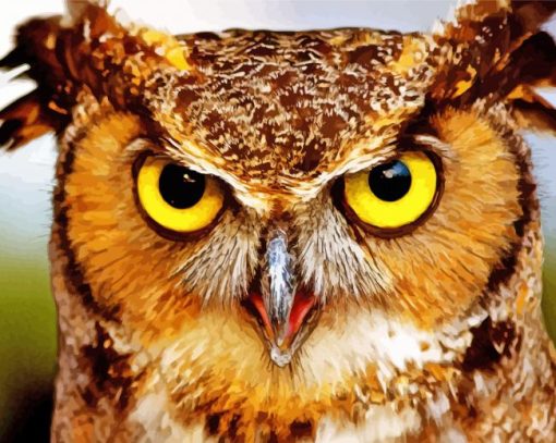 Fierce Owl Diamond Paintings