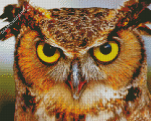 Fierce Owl Diamond Paintings