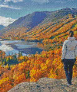 Follow Me To White Mountains Diamond Paintings