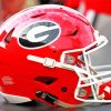 Georgia Bulldogs Helmet Diamond Paintings