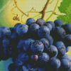 Grapevines With Water Drops Diamond Painting