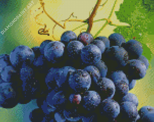 Grapevines With Water Drops Diamond Painting