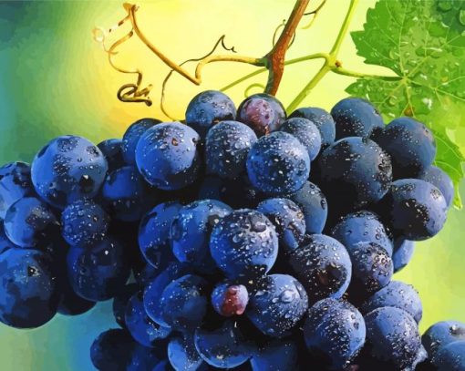 Grapevines With Water Drops Diamond Painting