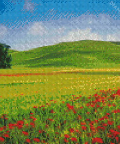 Green Grass And Red Flower Fields Italy Diamond Painting