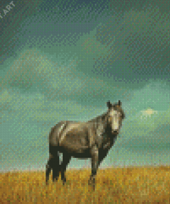 Grey Alone Horse Diamond Paintings