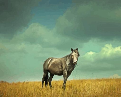 Grey Alone Horse Diamond Paintings