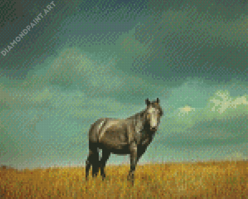 Grey Alone Horse Diamond Paintings