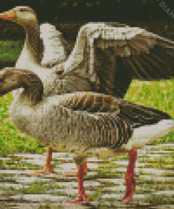 Grey Geese In The Garden Diamond Paintings