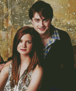 Harry And Ginny Diamond Painting