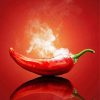 Hot Chili Pepper Diamond Painting