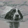 Monochrome Dog Swimming Diamond Paintings